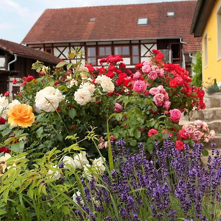 Studioapartment Mit Wohlfuehlcharakter Litzendorf Kültér fotó